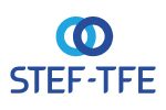 Logo STEF TFE